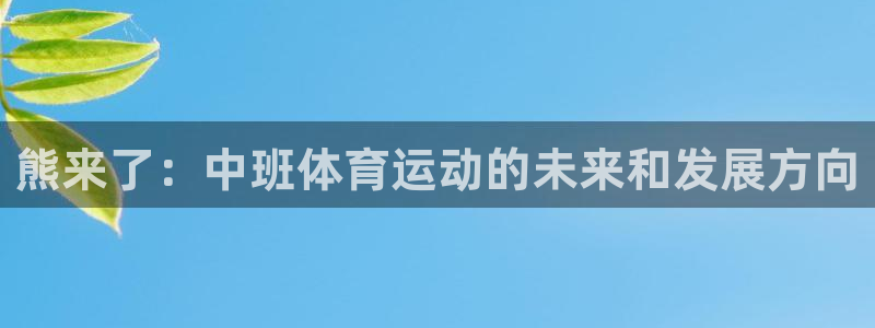 捷豹足球：熊来了：中班体育运动的未来和发展方向