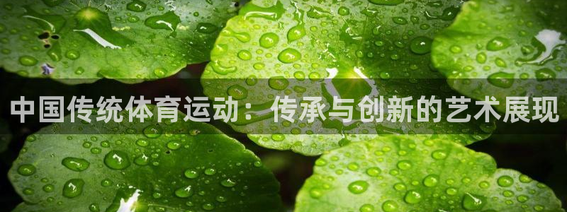 捷豹足球比赛即时分：中国传统体育运动：传承与创新的艺术展现