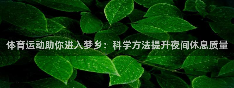 捷豹足球比分回查：体育运动助你进入梦乡：科学方法提升夜间休息质量