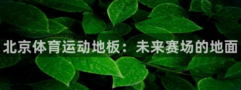 捷豹足球篮球直播：北京体育运动地板：未来赛场的地面