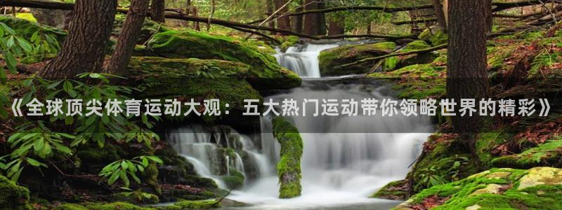 捷豹足球app：《全球顶尖体育运动大观：五大热门运动带你领略世界的精彩》