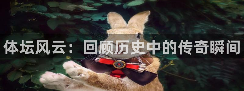 捷豹足球：体坛风云：回顾历史中的传奇瞬间