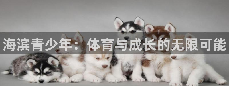 捷豹足球及时比分：海滨青少年：体育与成长的无限可能